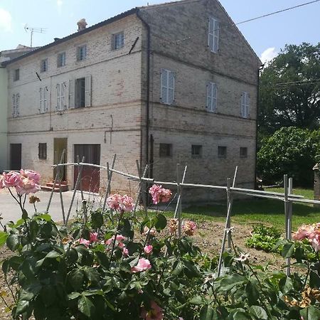 Casa Vacanze Da Peppa Grottazzolina Zewnętrze zdjęcie