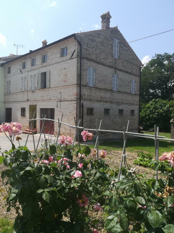 Casa Vacanze Da Peppa Grottazzolina Zewnętrze zdjęcie