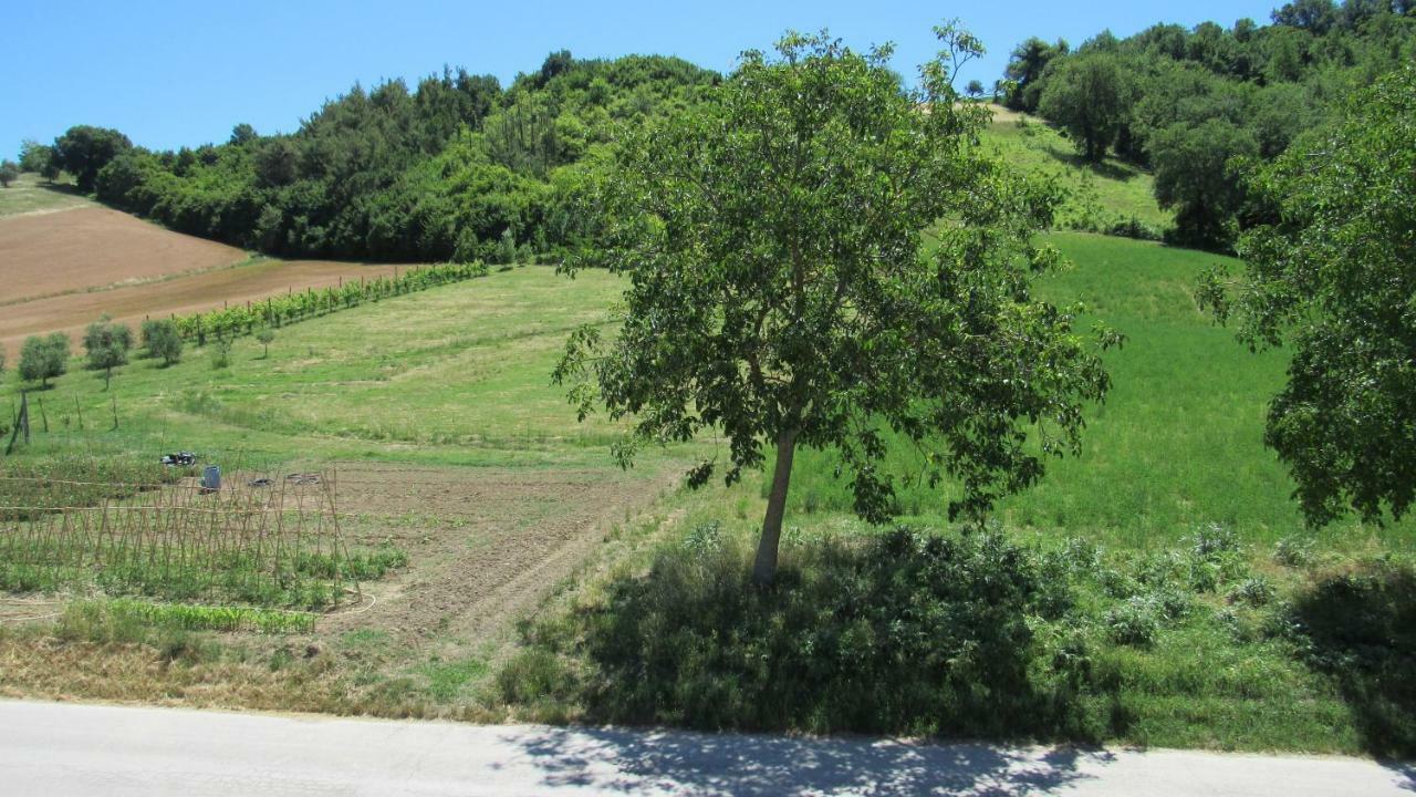 Casa Vacanze Da Peppa Grottazzolina Zewnętrze zdjęcie